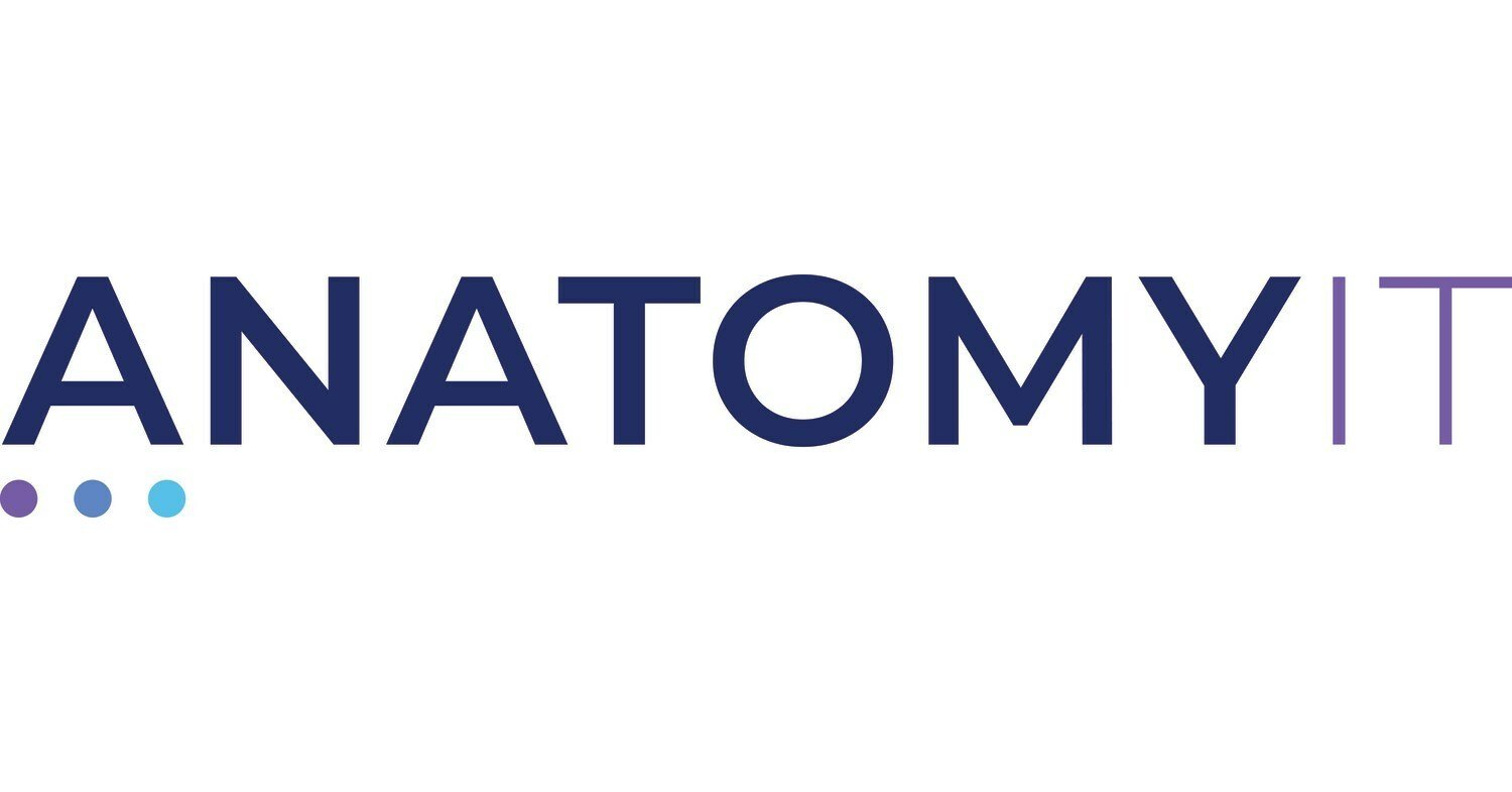 AnatomyIT_Logo
